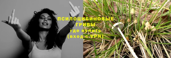 дживик Алексин